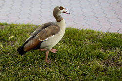 IMG_8488