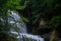IMG_5703