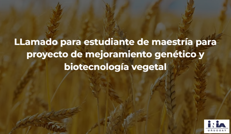 Captura de pantalla 2025-07-02 195330.png