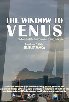 The Window to Venus.jpg