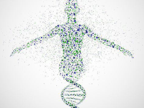Spectrum: The Dignity of the Human Person and Bioethics