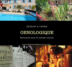 SEJOUR OENOLOGIQUE LES CUVES SAINTES.jpg