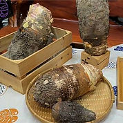 thuid 053砲彈芋頭_edited.jpg