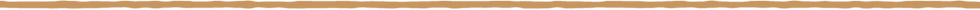 seikatsuhenshusalon_webparts_line.png