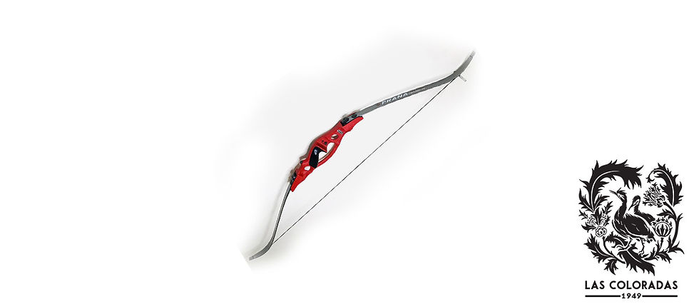 ARCO PRANA MODELO BIG MONSTER 40 - 70 LBS