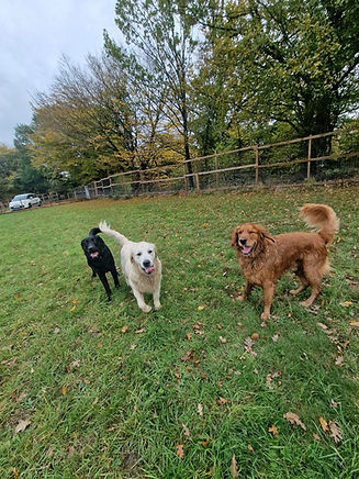 WhatsApp Image 2025-10-27 at 17.43.56.jpeg