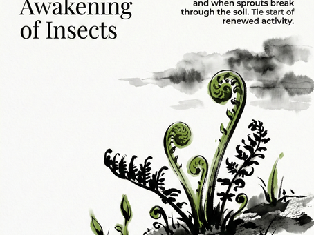 Why Your Head Pounds When Spring Arrives