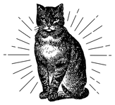 element-download--1755456645.png