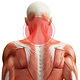 physiotherapy manchester, physiotherapy in manchester, physiotherapist manchester, physiotherapist in manchester, physio manchester, physio in manchester, physiotherapist manchester city centre