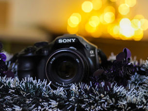 Top 3 Versatile Prime Lenses for Sony Cameras to Elevate Your Photography