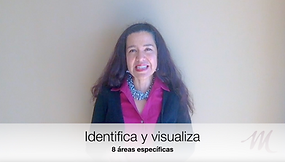 AREAS DE VIDA WP.png