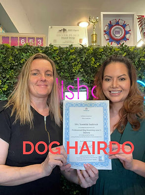 0a618dab-a00f-4ab5-ac4e-ad8002bf4d92_edi