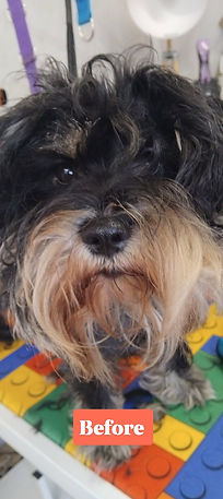 50d87828-6558-4365-a5d7-1b3e04ab7592 (1).jpg