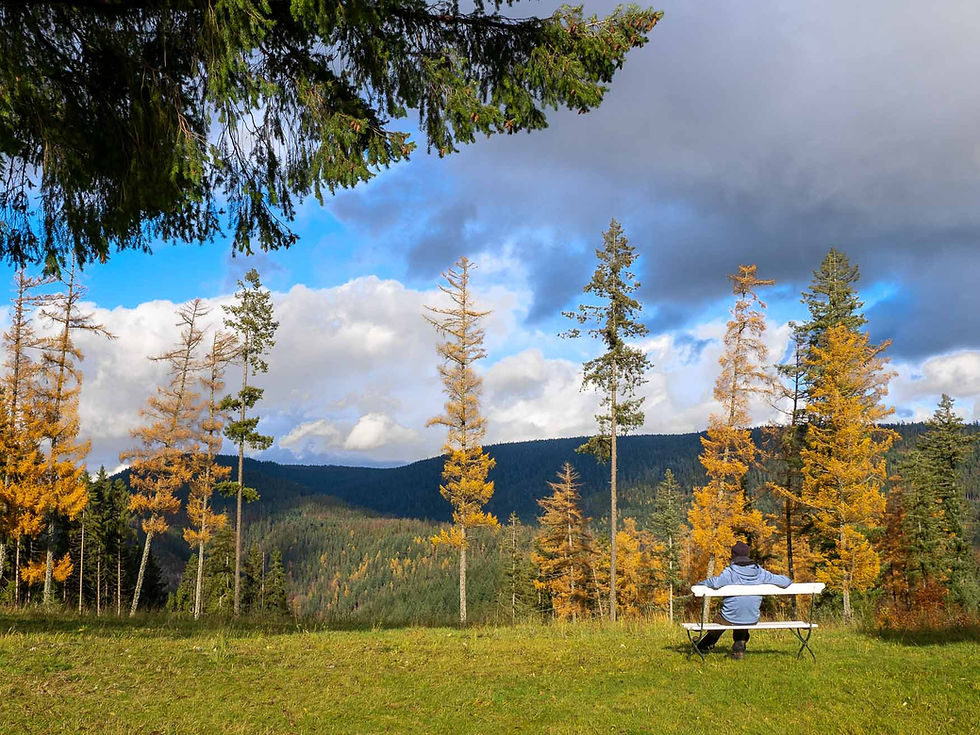 🍂 Herbstwanderung des SC Enzklösterle am 11. Oktober 2026 🍂