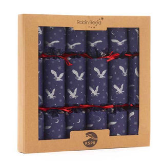 Moonlit Owls Christmas pattern design for the RSPB