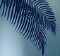 IMG_75572D7F8466-1.jpeg