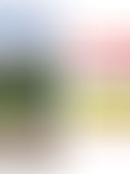 hub 0819-4343-1484 , Paket Outbound Anak di Malang