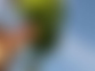 Cozinha Especializada em alimentos saudáveis e sob encomenda para cada tipo de cardápio: