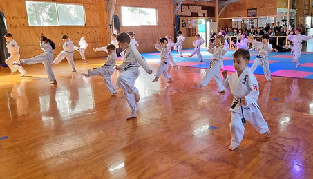 Kids doiong karete at shiyodo karate