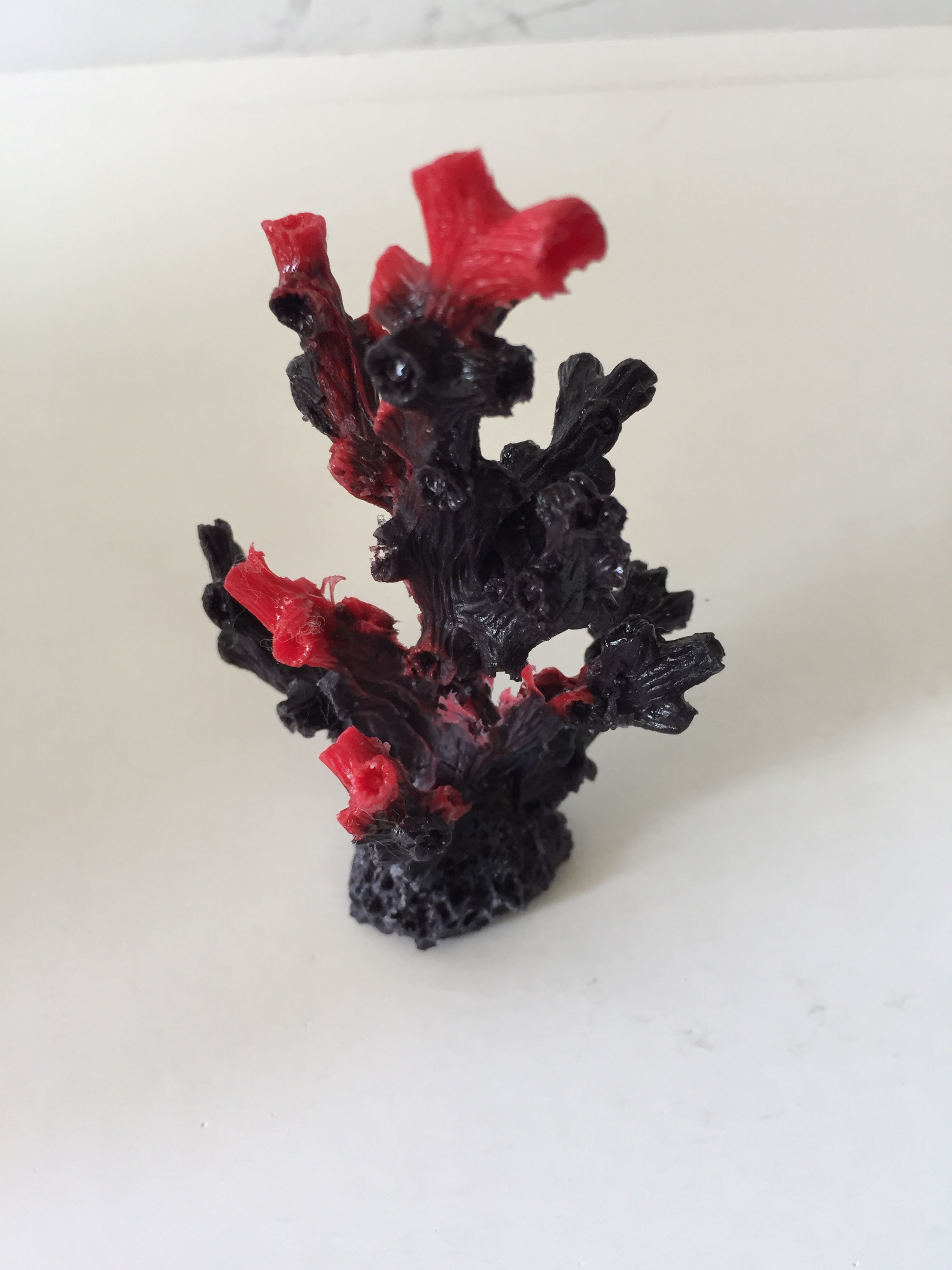 Коралл черно-красный