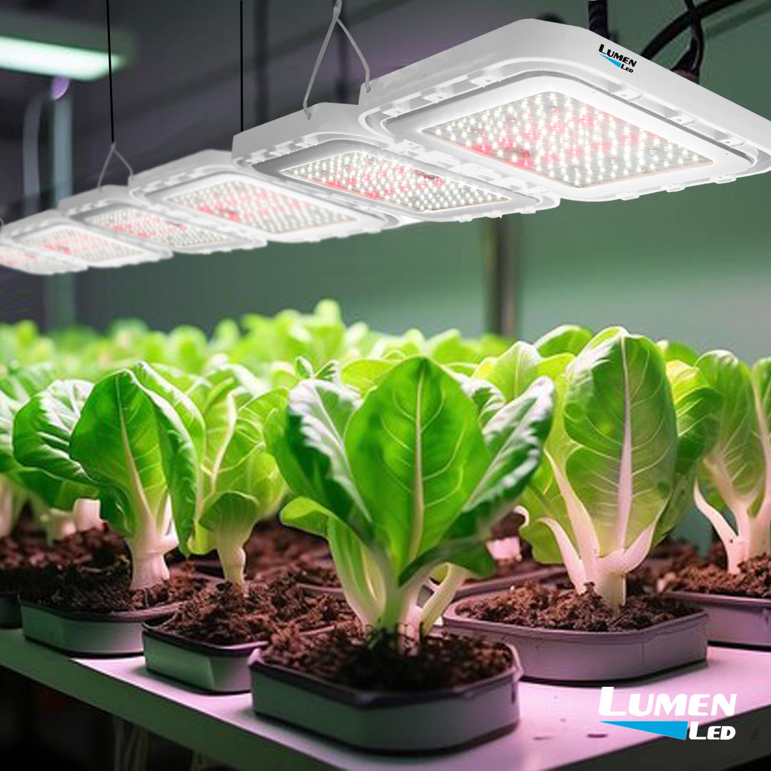 OFERTA ESPECIAL - LGD 200DD