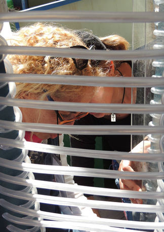 BIENAL DE CHACO 2016 / PAULIAN WEBB