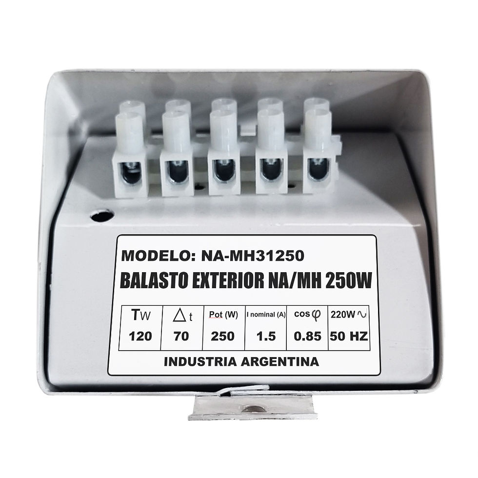 Miniatura: BALASTO EXTERIOR PARA LAMPARA  NA-MH DE 250W / NA-MH 31250