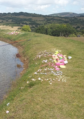 PORTAL DE LUZ - URUGUAY 2020  / PAULINA WEBB