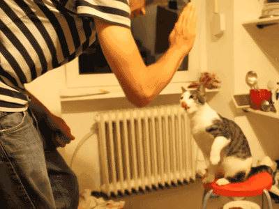 QvrGWJ4.gif