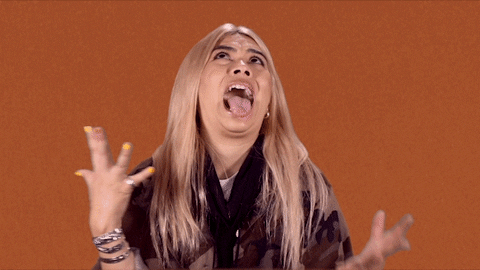 giphy (1).gif