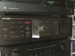 IncompleteSpeedyBuckeyebutterfly-max-1mb.gif