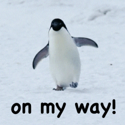 giphy (1).gif