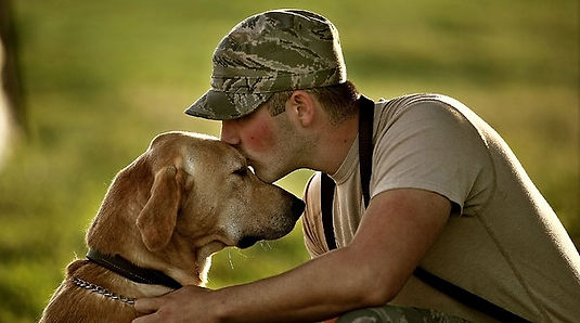 02canine-articleLarge-v2.jpg