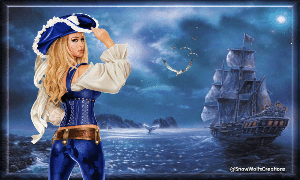 Captain Of Her Pirate Ship.gif