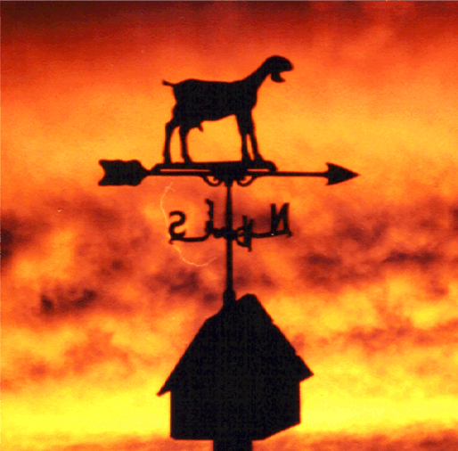 goatweathersunset.gif