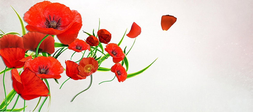 cover-page-flowers-beautiful-ornamental-