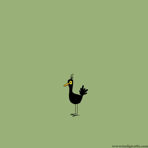 giphy.gif