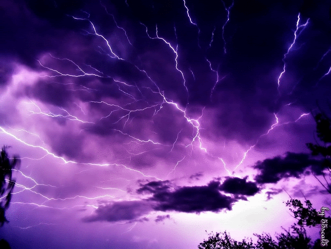 95fd0085ca59b3d7cb5b07aa73eb5277.gif