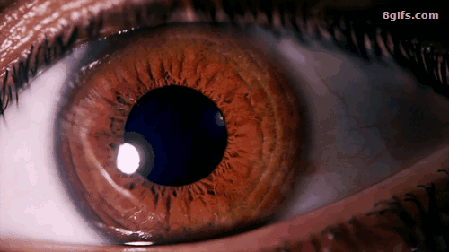 4d8f575428db28b82123c9b0e416a124.gif