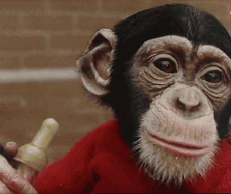 54346bdf290aaf1bb4d8c61b7231330e.gif