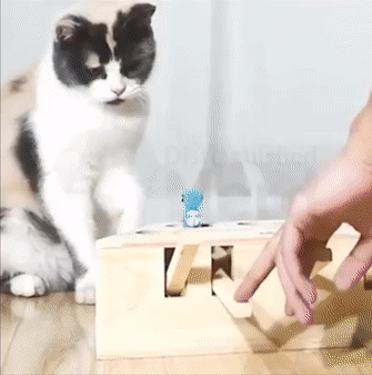6f4d5f19258f9948f97bd8fa6b8edbe2.gif