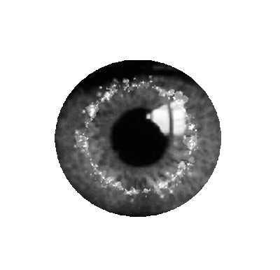 1033246_26da1.gif