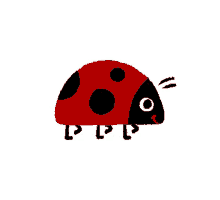 tenor (1).gif