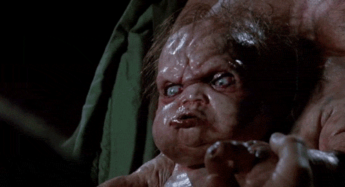 giphy (2).gif