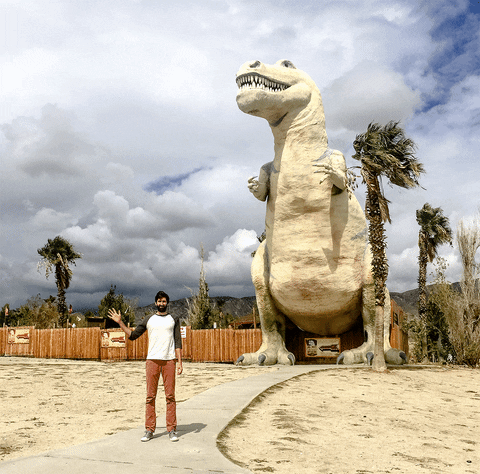 giphy (2).gif