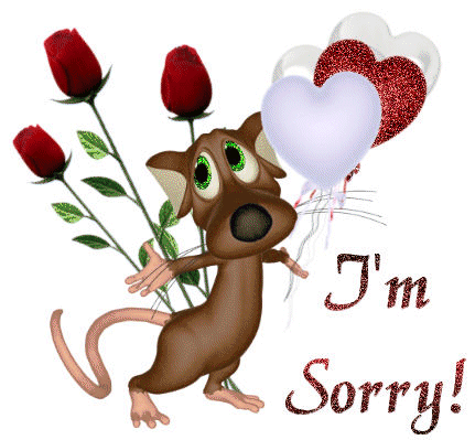 sorry-2802.gif