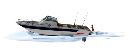 Ship-For-Fishing-59324.gif