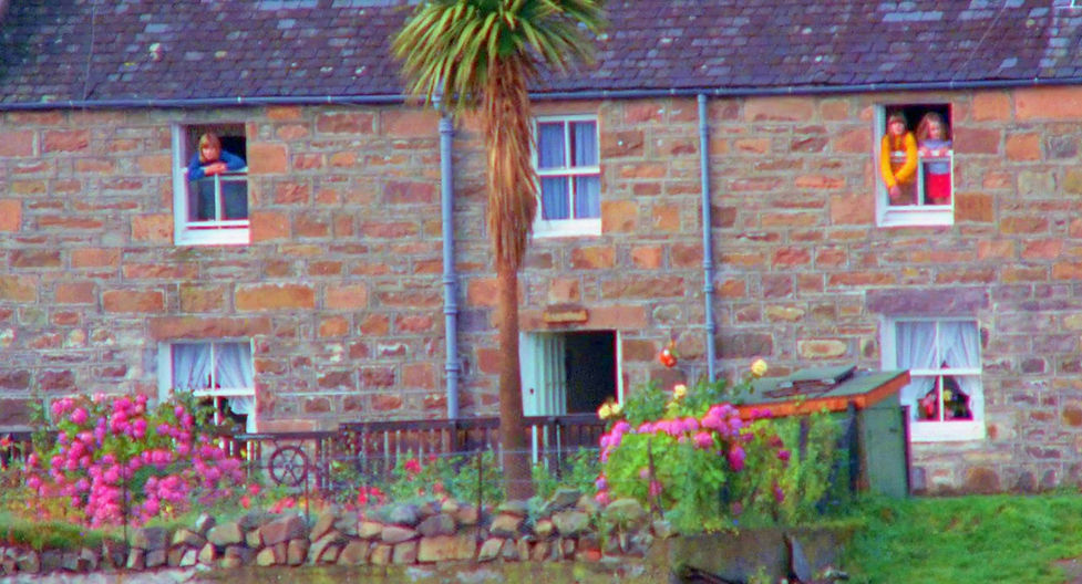 A84.jpg
