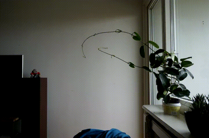 e1c91d2a16339480ce9decaf99caaa4e.gif