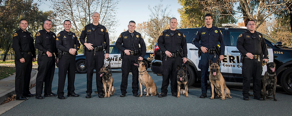 K9_Group_.jpg